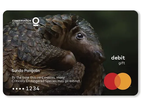 Mastercard puts the ‘expiry’ date of critically endangered species on its gift cards