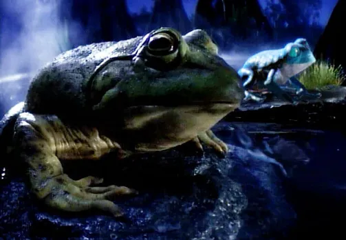 The Budweiser frogs croak again