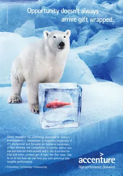 Polar bear