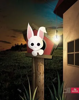 Day return flights - Rabbit