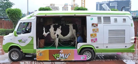 Cow