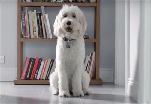 Procter & Gamble makes its advertising more accessible 