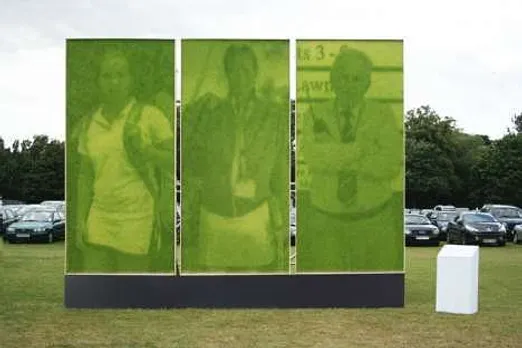 Grass photographs