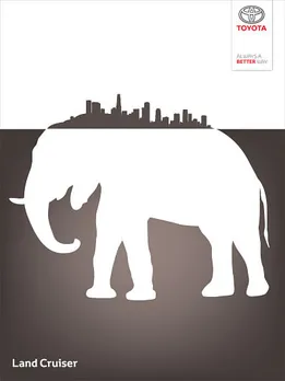 Wild city, 2