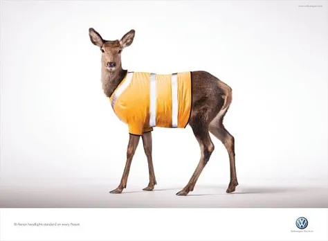 Deer