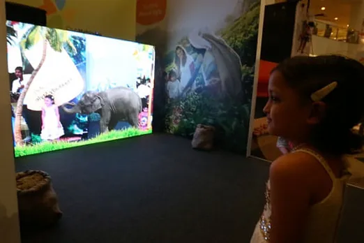 Experience Kerala Elephant Shower