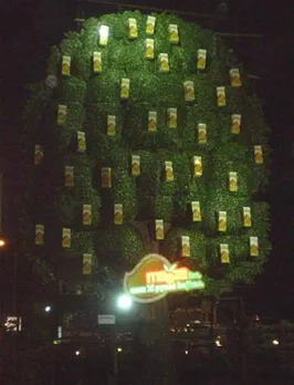 Maaza lao aam ki pyaas bujhao