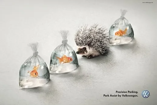 Hedgehog and Fish