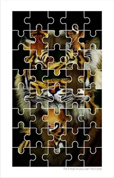 Save Tiger