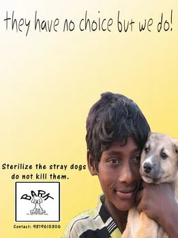 NGO for stray dogs