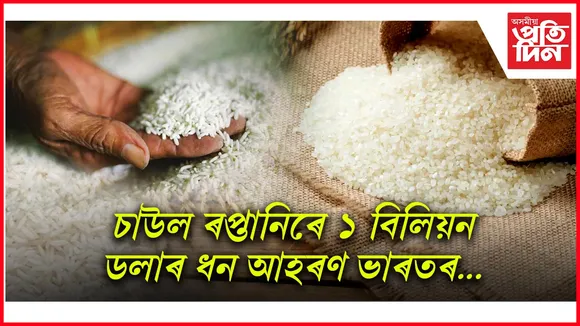 rice1