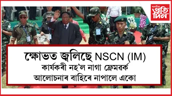 এন এছ চি এন (আই এম)