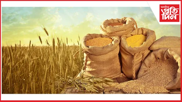 খাদ্যশস্য উৎপাদন