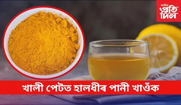হালধী
