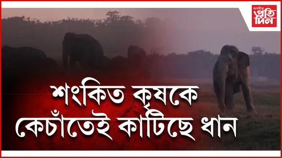 কামপুৰ