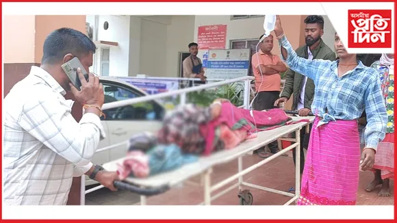 কলিয়াবৰত বনৰজাৰ আক্ৰমণত মহিলা শ্ৰমিক আহত...