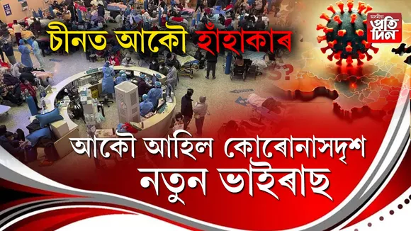 চীনত কোৰোনা সদৃশ নতুন ভাইৰাছ!