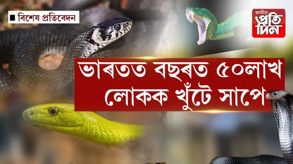 সাপ
