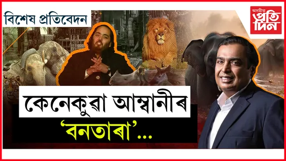বনতাৰা