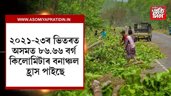 ২০২১-২০২৩ চনৰ ভিতৰত অসমৰ বনাঞ্চল