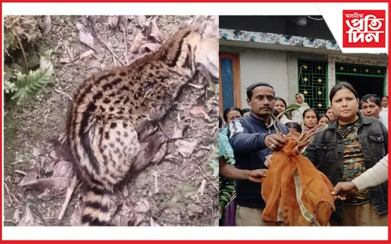 ঢকুৱাখনাত দুষ্প্ৰাপ্য জহামালৌ উদ্ধাৰ