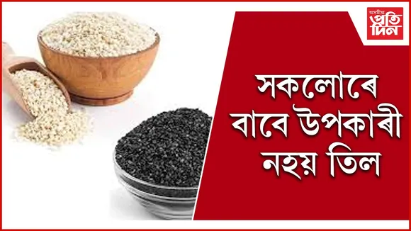 sesame seeds