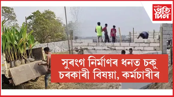 গহপুৰত লোক নিৰ্মাণ, কৃষি বিভাগৰ বিষয়াৰ মন্ত্ৰণাত সুৰংগ নিৰ্মাণৰ জৰীপৰ নামত ভয়াবহ কেলেংকাৰী
