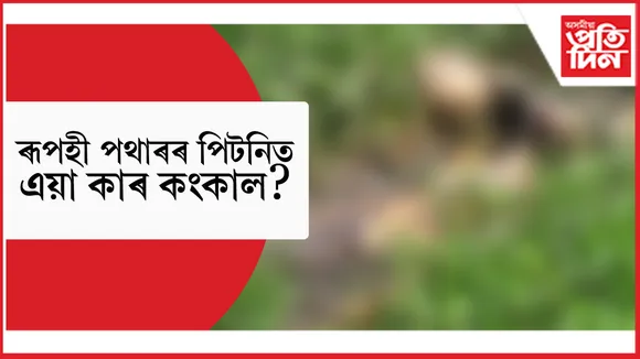 শিৱসাগৰৰ ৰূপহী পথাৰত নৰ কংকাল উদ্ধাৰ...