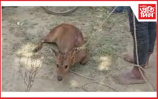 পুুিিিিিিিিিিি