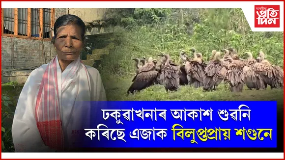 ঢকুৱাখনাত শগুণ সংৰক্ষণত ব্ৰতী এগৰাকী মহিলা
