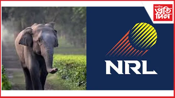 বন্যহস্তীক বন বিভাগৰ অজ্ঞাতে সমাধিস্থ কৰা দুই NRL ৰ দুই বিষয়াৰ বিৰুদ্ধে অপৰাধ প্ৰতিবেদন দাখিল