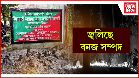 জ্বলিছে বনজ সম্পদ