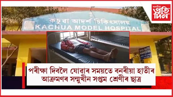 বিদ্যালয়লৈ যোৱাৰ পথত বনৰীয়া হাতীৰ সন্মুখীন শিক্ষাৰ্থীঃ গুৰুতৰ ভাৱে আহত সপ্তম শ্ৰেণীৰ ছাত্ৰ