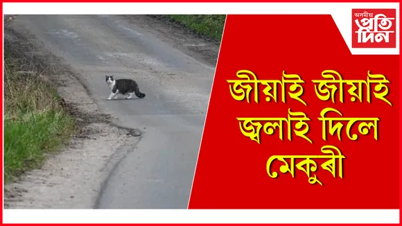 ৯৯৯৯৯৯৯৯৯৯৯৯৯৯৯৯৯৯৯৯৯৯৯৯