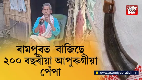 অসমৰ বিভিন্ন প্ৰান্তৰ লগতে  জামুগুৰিহাটতো বাপতিসাহোন ৰঙালী বিহুটিক আদৰাৰ চলিছে ব্যাপক প্ৰস্তুতি । ইয়াৰ মাজতে কিন্তু থমকি ৰোৱা নাই হাটিঙা ৰামপুৰৰ ৯০ উৰ্দ্ধৰ সোণ বৰুৱা ককাৰ পেপাৰ গুমগুমনি  । আজো ককাৰ দিনৰ ২০০ বছৰীয়া পেপাটি সযতনে ৰাখি থৈছে সোণ বৰুৱা ককাই । বিহু বুলিলেই ককাৰ হেনো গা সাতখন আঠখন হৈ উঠে । যৌৱন কালৰ স্মৃতি ৰোমন্থন কৰি  সোণ ককাই জীৱনৰ বিয়লি বেলাতো ঘৰৰ পদূলিতে বহি পেপা বজাই ৰঙালী বিহুটিক আদৰণি জনোৱা দেখা গৈছে।