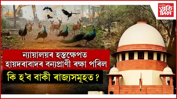 দিল্লী, গোৱা, ছিকিমে একত্ৰিতভাৱে সামৰি লোৱা ভৌগলিক এলেকাৰ সম পৰিমাণতকৈ অধিক বন ভূমি ধ্বংস