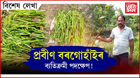 প্ৰবীণ