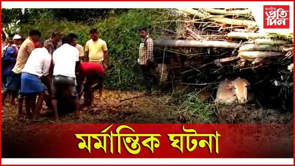 মৰ্মান্তিক ঘটনা