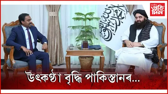 ্িু্িু