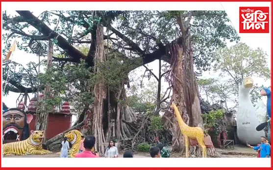 ভাঙি পৰিল মা মহামায়া স্নানঘাট মন্দিৰৰ কৃত্ৰিমভাবে নিৰ্মিত গছ