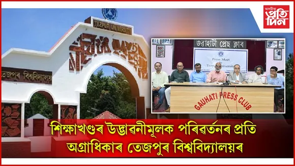 new aিিিp web 5  