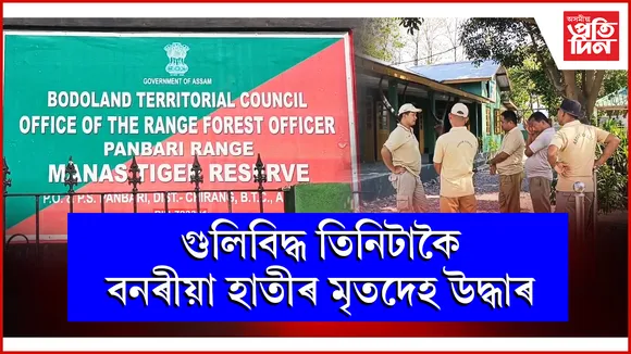 গুলিবিদ্ধ তিনিটাকৈ বনৰীয়া হাতীৰ মৃতদেহ উদ্ধাৰ