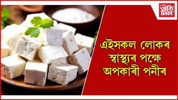 paneer৫৫