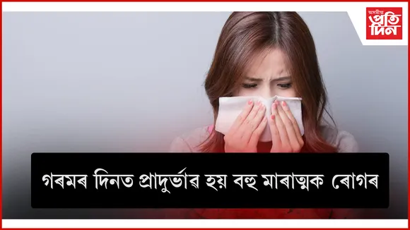 লাৈ