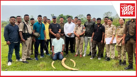 হাতী দাঁতৰ সৈতে চাৰি চোৰাং চিকাৰিক গ্ৰেপ্তাৰ চিৰাং আৰক্ষীৰ....