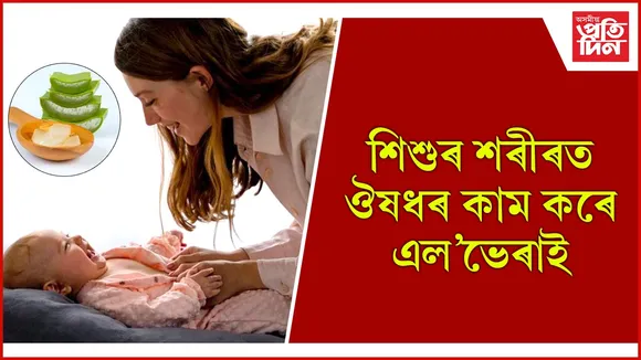 এল'ভেৰা