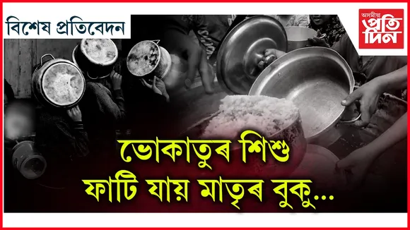 গাজা
