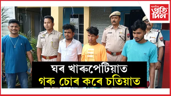 চতিয়াত চোৰা কৰা দৰঙৰ তিনি গৰু চোৰক গ্ৰেপ্তাৰঃ আন্তঃৰাষ্ট্ৰীয় চোৰাং সৰবৰাহকাৰীৰে আছে সম্পৰ্ক