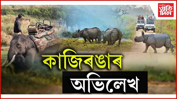 সৰ্বাধিক পৰ্যটকে পৰিদৰ্শন কৰা ৰাষ্ট্ৰীয় উদ্যানৰ তালিকাত কাজিৰঙা...