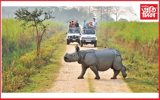 পুনৰ ৩১ মে’লৈ পৰ্যটকৰ বাবে মুকলি কাজিৰঙা ৰাষ্ট্ৰীয় উদ্যান